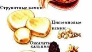 Urolithiasis во кучиња: симптоми, третман, исхрана исхрана, препарати